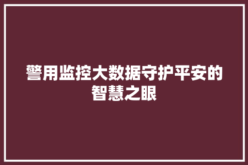 警用监控大数据守护平安的智慧之眼