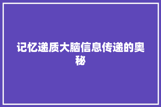记忆递质大脑信息传递的奥秘