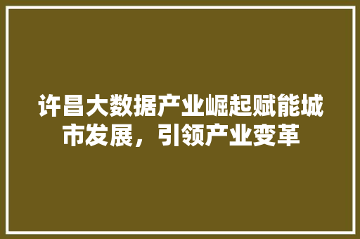 许昌大数据产业崛起赋能城市发展，引领产业变革