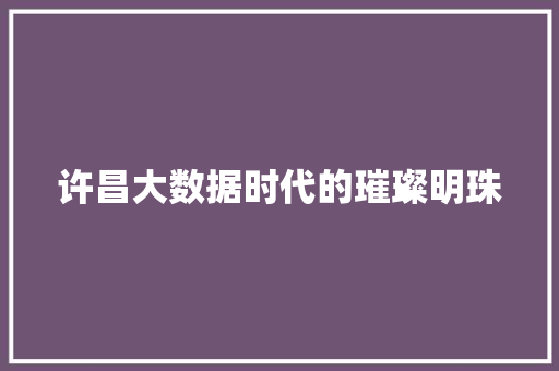 许昌大数据时代的璀璨明珠