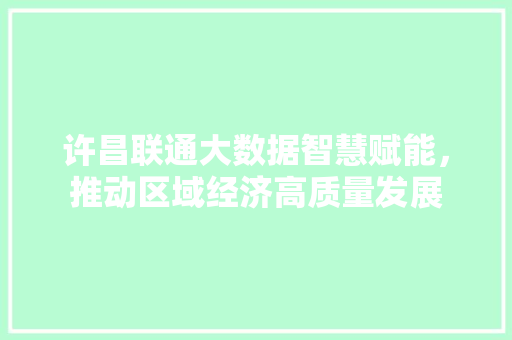 许昌联通大数据智慧赋能，推动区域经济高质量发展