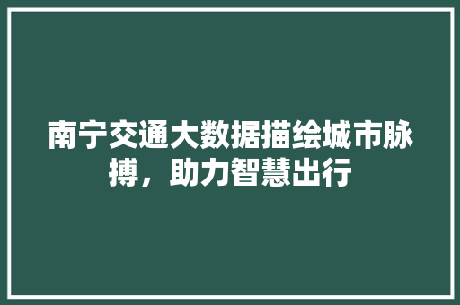 南宁交通大数据描绘城市脉搏，助力智慧出行  第1张