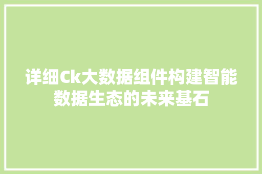 详细Ck大数据组件构建智能数据生态的未来基石  第1张