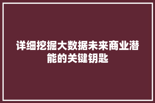 详细挖掘大数据未来商业潜能的关键钥匙