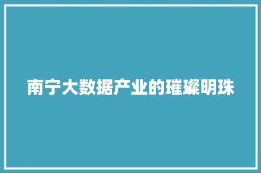 南宁大数据产业的璀璨明珠  第1张
