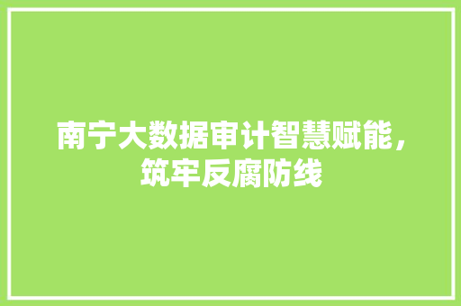 南宁大数据审计智慧赋能，筑牢反腐防线  第1张
