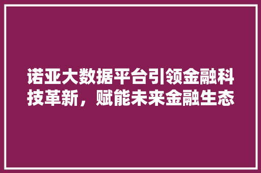 诺亚大数据平台引领金融科技革新，赋能未来金融生态