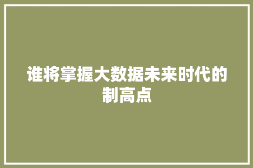 谁将掌握大数据未来时代的制高点