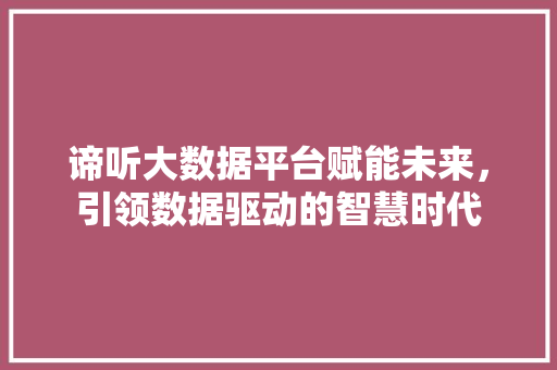 谛听大数据平台赋能未来，引领数据驱动的智慧时代  第1张