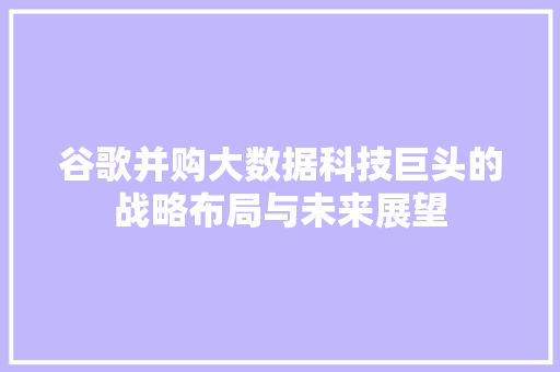 谷歌并购大数据科技巨头的战略布局与未来展望