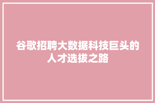 谷歌招聘大数据科技巨头的人才选拔之路