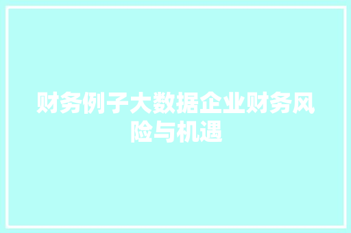 财务例子大数据企业财务风险与机遇