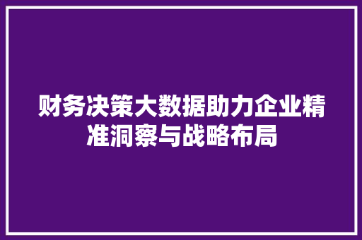 财务决策大数据助力企业精准洞察与战略布局