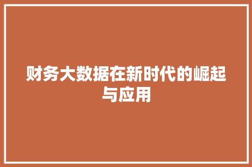 财务大数据在新时代的崛起与应用  第1张