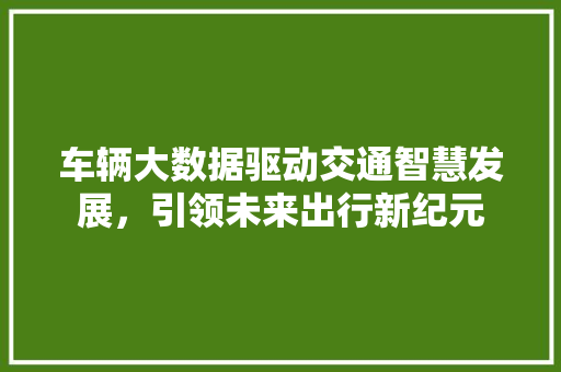 车辆大数据驱动交通智慧发展，引领未来出行新纪元