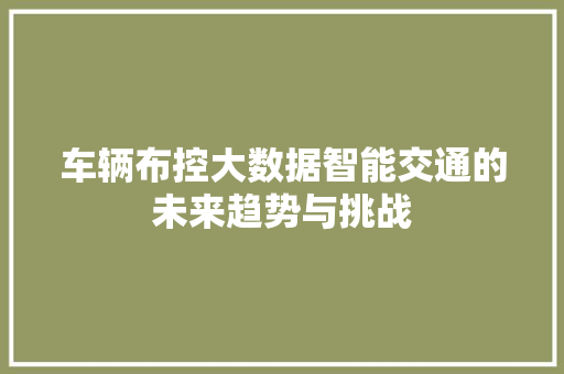车辆布控大数据智能交通的未来趋势与挑战