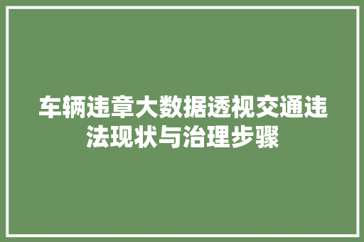 车辆违章大数据透视交通违法现状与治理步骤