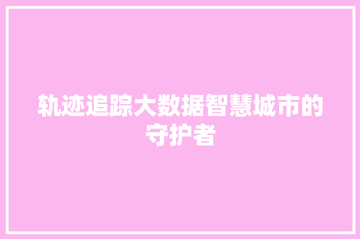 轨迹追踪大数据智慧城市的守护者