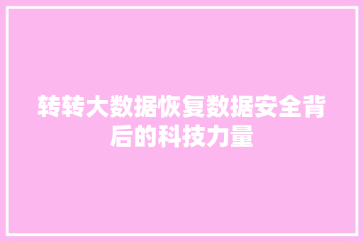 转转大数据恢复数据安全背后的科技力量