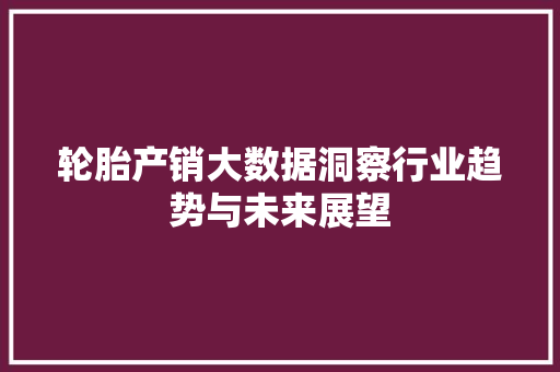 轮胎产销大数据洞察行业趋势与未来展望