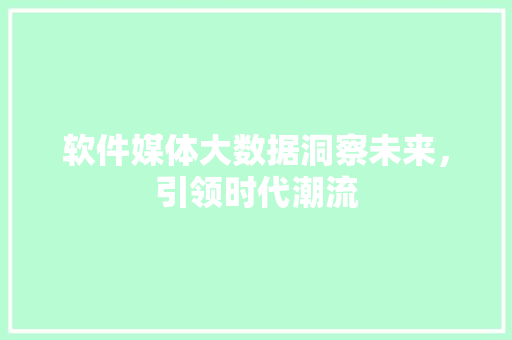 软件媒体大数据洞察未来，引领时代潮流