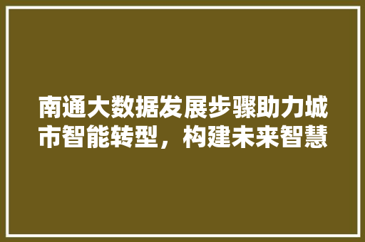 南通大数据发展步骤助力城市智能转型，构建未来智慧之城  第1张