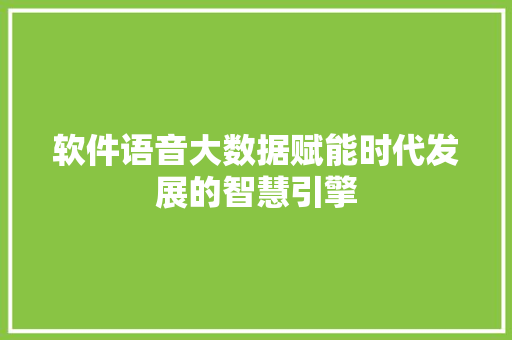 软件语音大数据赋能时代发展的智慧引擎