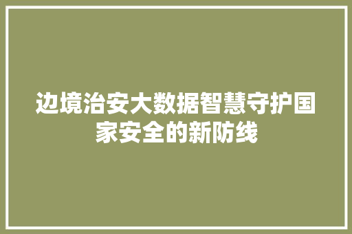 边境治安大数据智慧守护国家安全的新防线