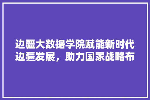 边疆大数据学院赋能新时代边疆发展，助力国家战略布局  第1张