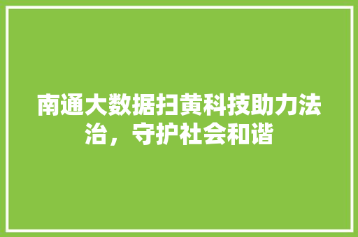 南通大数据扫黄科技助力法治，守护社会和谐