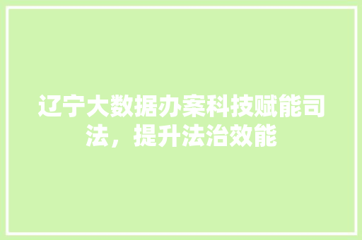辽宁大数据办案科技赋能司法，提升法治效能
