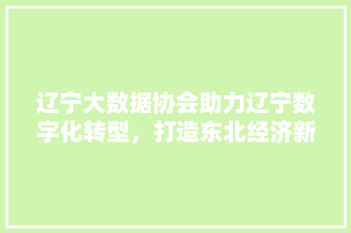 辽宁大数据协会助力辽宁数字化转型，打造东北经济新引擎