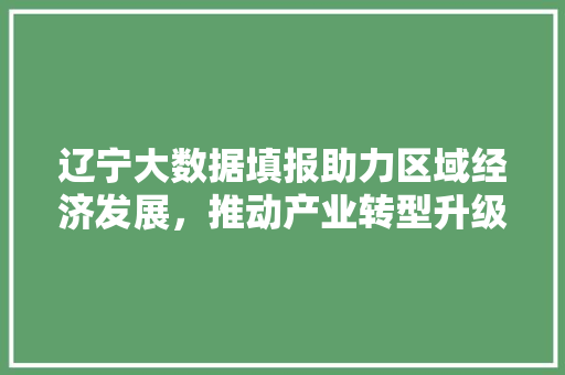 辽宁大数据填报助力区域经济发展，推动产业转型升级