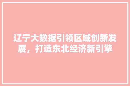 辽宁大数据引领区域创新发展，打造东北经济新引擎  第1张