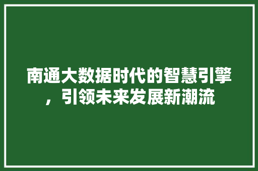 南通大数据时代的智慧引擎，引领未来发展新潮流  第1张
