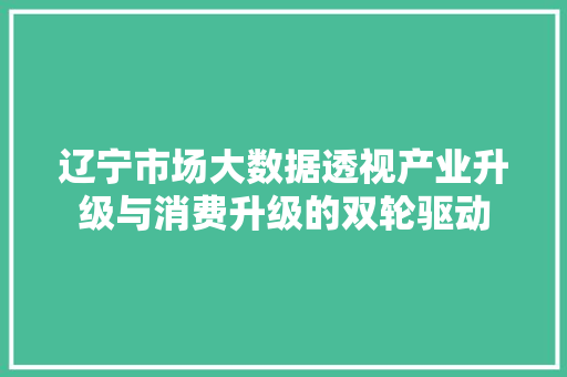 辽宁市场大数据透视产业升级与消费升级的双轮驱动