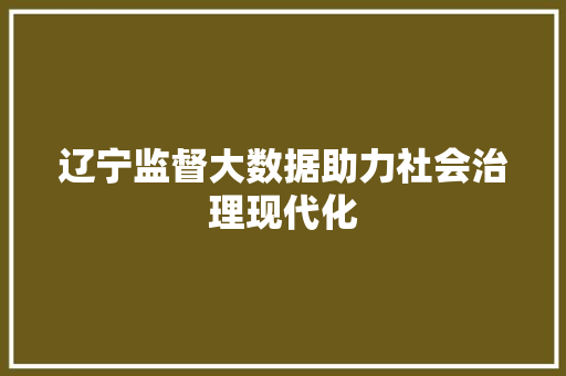 辽宁监督大数据助力社会治理现代化