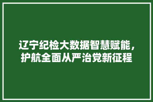 辽宁纪检大数据智慧赋能，护航全面从严治党新征程