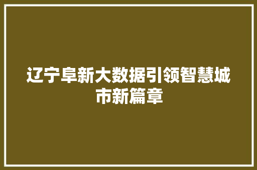 辽宁阜新大数据引领智慧城市新篇章