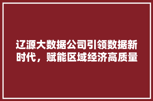 辽源大数据公司引领数据新时代，赋能区域经济高质量发展