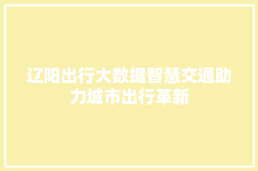 辽阳出行大数据智慧交通助力城市出行革新