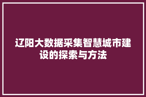 辽阳大数据采集智慧城市建设的探索与方法  第1张