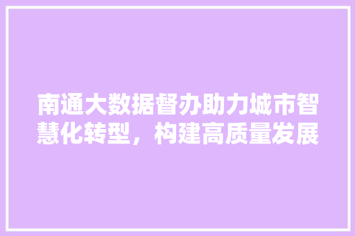 南通大数据督办助力城市智慧化转型，构建高质量发展新格局