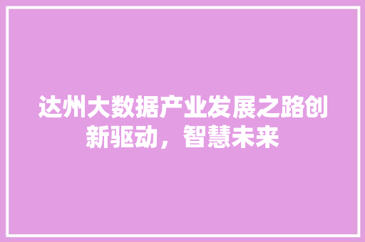 达州大数据产业发展之路创新驱动，智慧未来  第1张