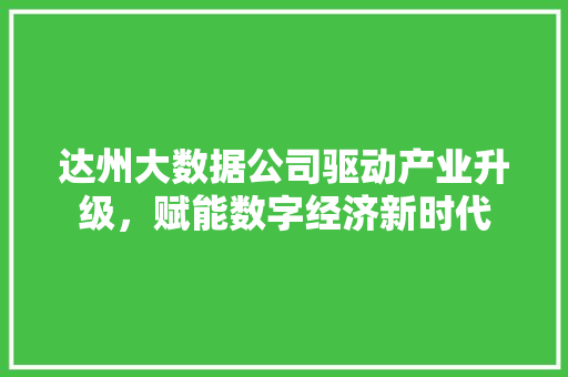 达州大数据公司驱动产业升级，赋能数字经济新时代  第1张