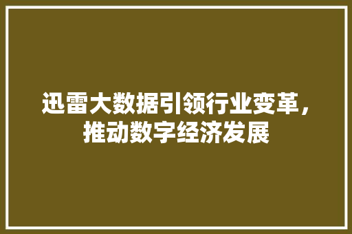 迅雷大数据引领行业变革，推动数字经济发展