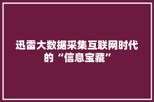 迅雷大数据采集互联网时代的“信息宝藏”