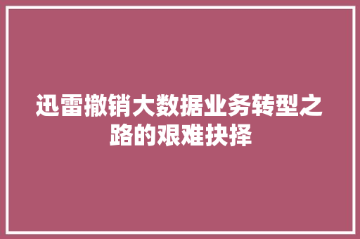 迅雷撤销大数据业务转型之路的艰难抉择
