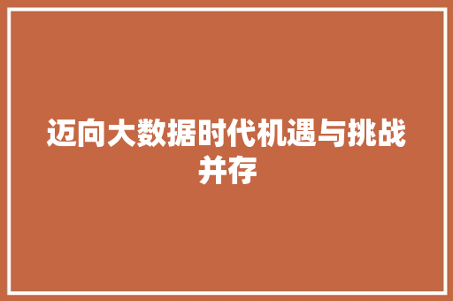 迈向大数据时代机遇与挑战并存