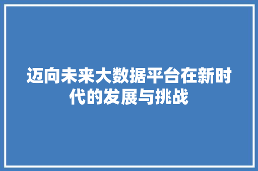 迈向未来大数据平台在新时代的发展与挑战